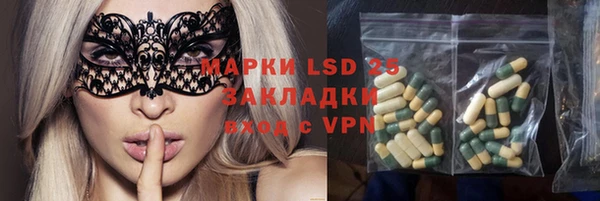 стаф Новозыбков