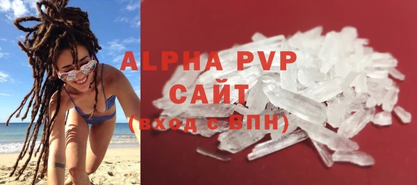 стаф Новозыбков