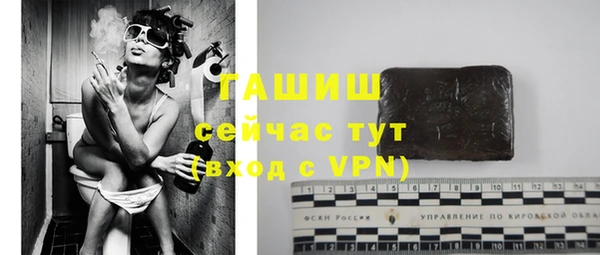 стаф Новозыбков