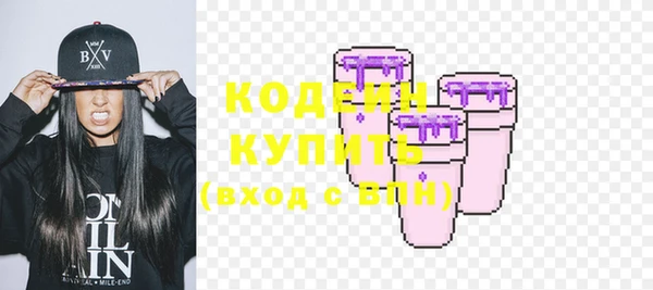 стаф Новозыбков