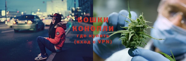 стаф Новозыбков