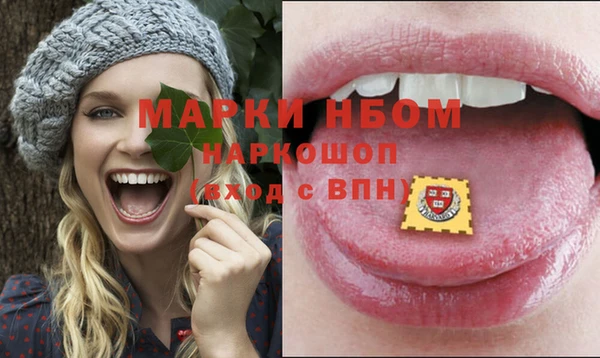 стаф Новозыбков