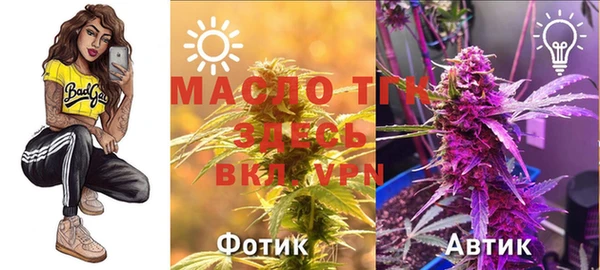 стаф Новозыбков