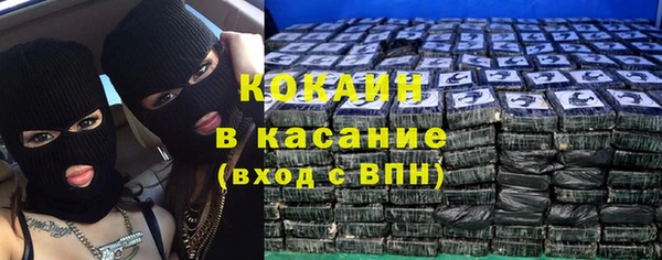 стаф Новозыбков